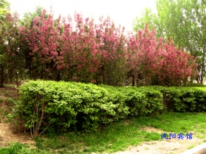 沈陽(yáng)賓館