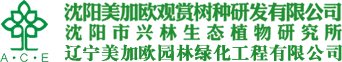 沈陽(yáng)觀(guān)賞樹(shù)